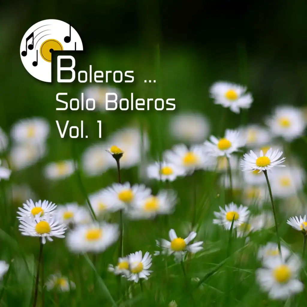 Boleros … Solo Boleros, Vol. 1