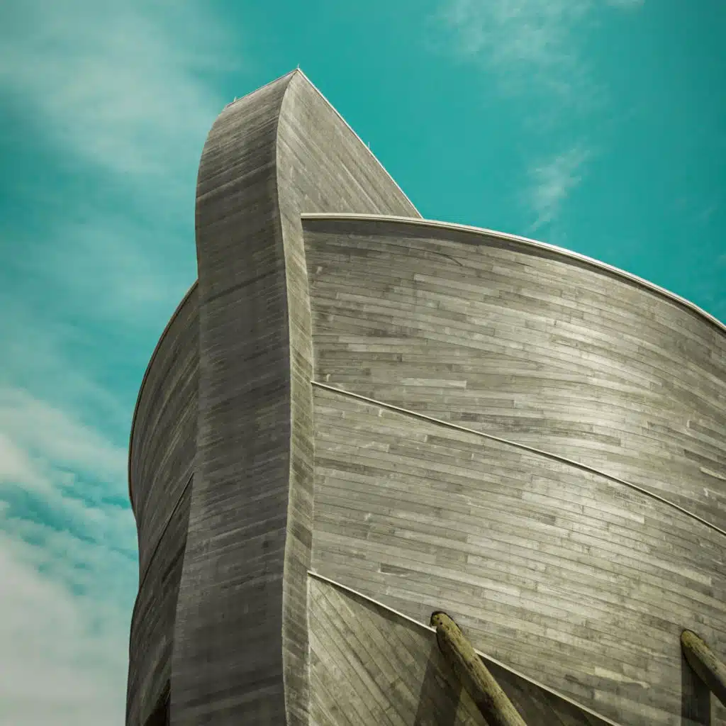 ما دمت في سفينتي