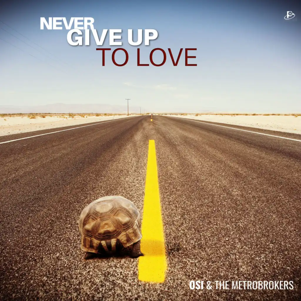 Never Give Up To Love
