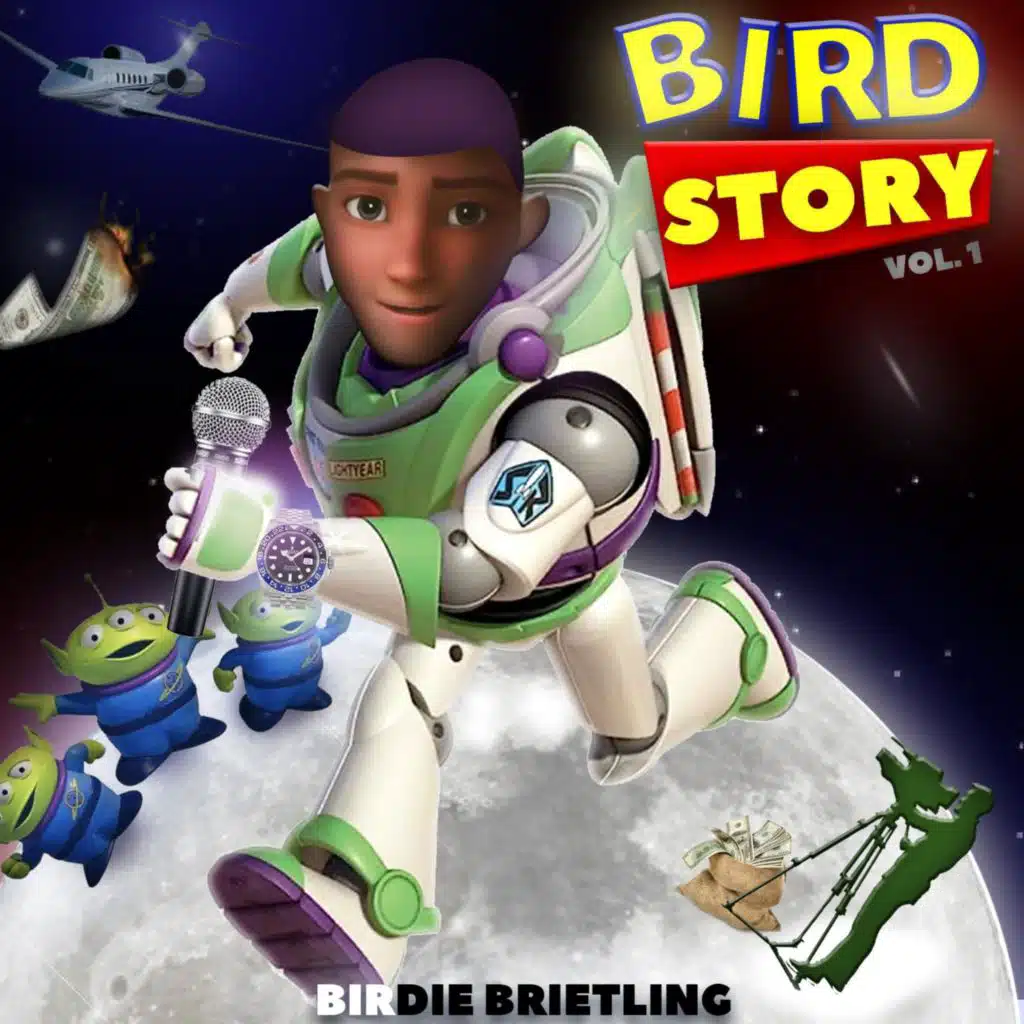 Bird Story