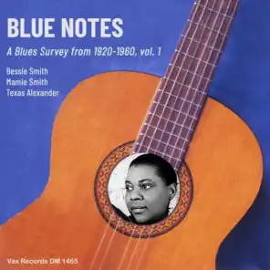 Blue Notes – A Blues Survey from 1920-1960, vol. 1 (feat. Clarence Williams & Little Hat Jones)