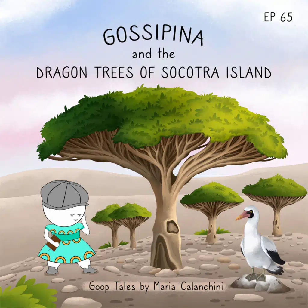 GT065 - Gossipina and the Dragon Trees of Socotra Island