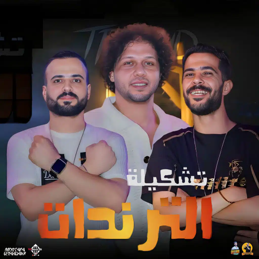 Mohamed Abdel Salam, طارق شئلشه & مصطفى السعداوى