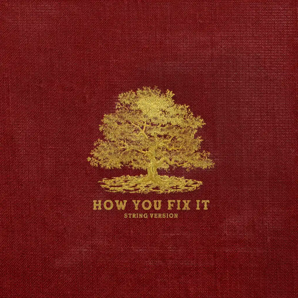 How You Fix It (String Version)