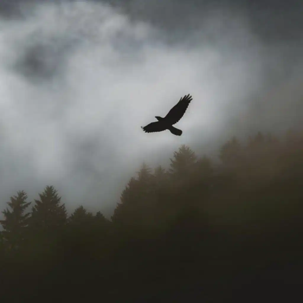 Gallowdance - Slowed