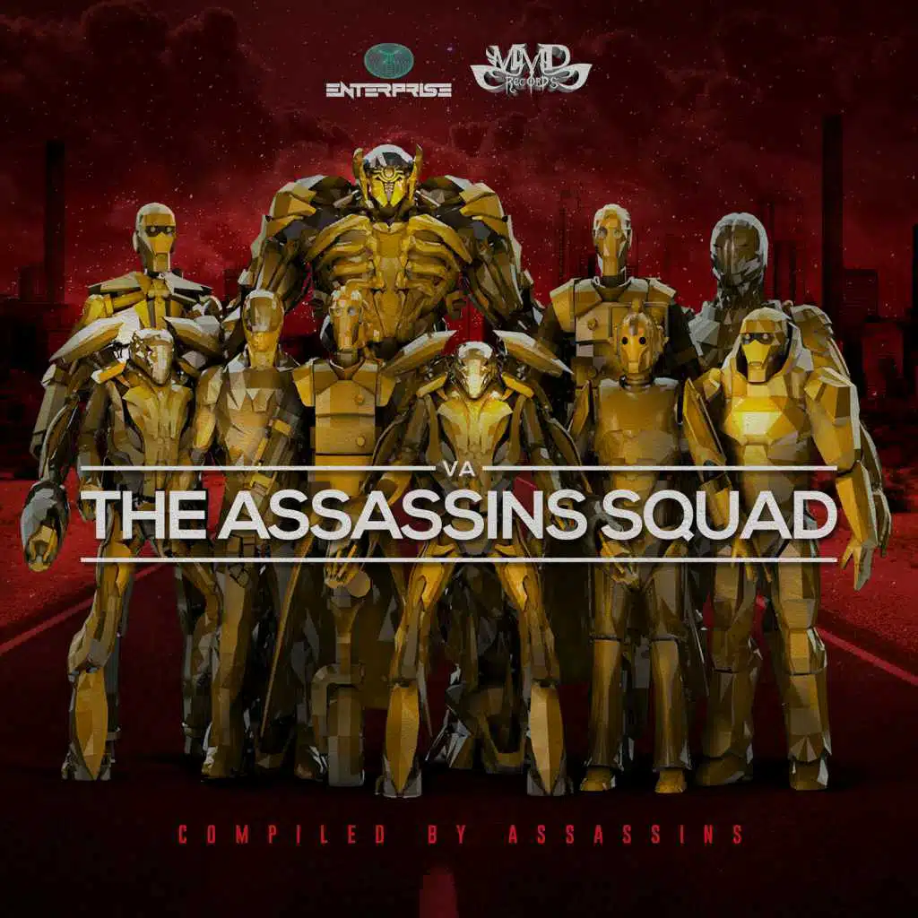 The Assassins Squad (Compiled by Assassins)