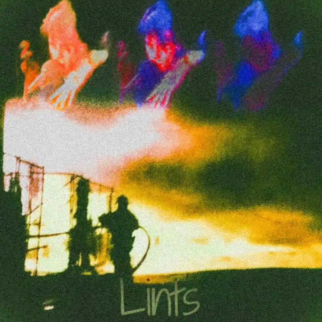 Lints