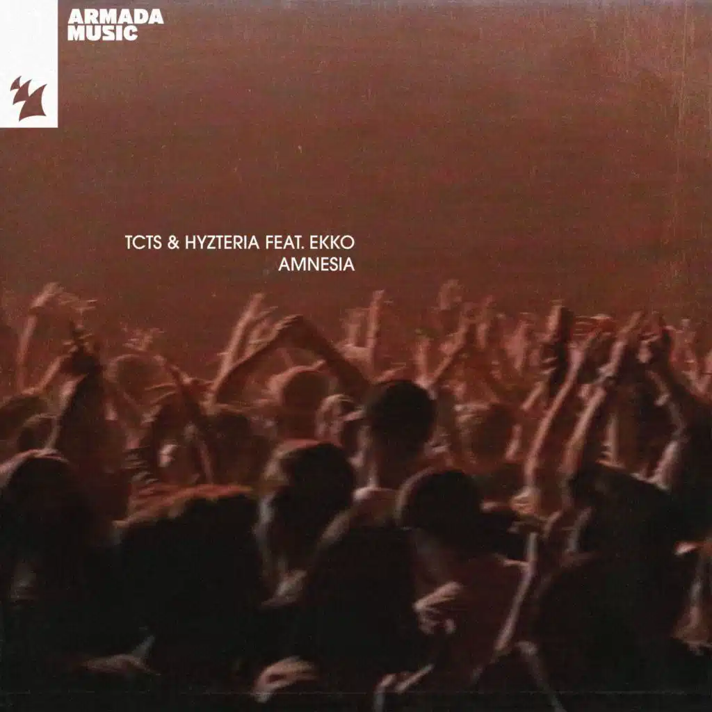 Amnesia (feat. Ekko)