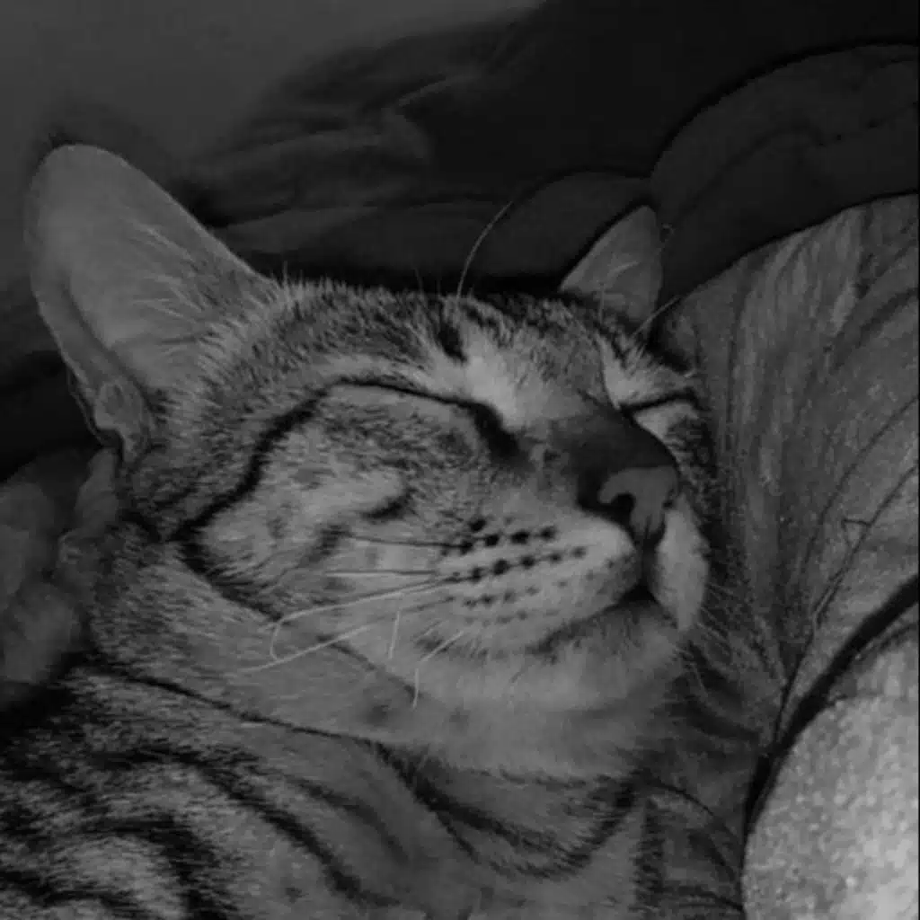 Step on up x gimme more