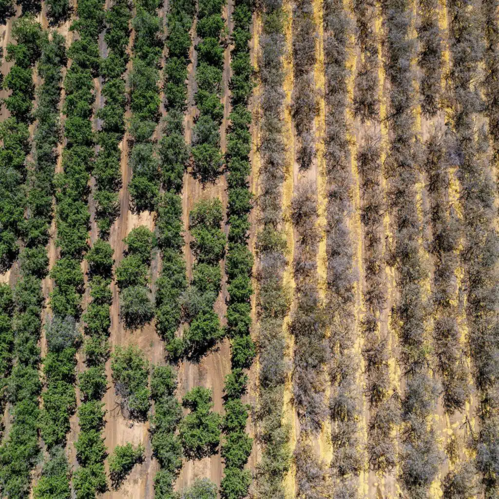 Building Resilience in the Face of Climate Change [Sponsored]