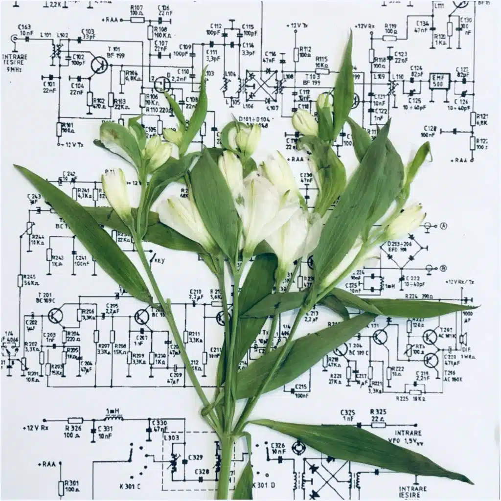 Herbarium Electrica I