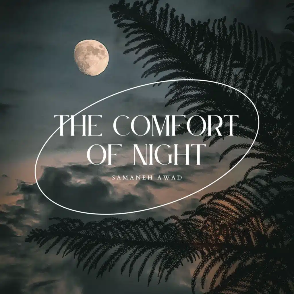 The Comfort of Night