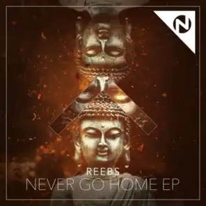Never Go Home (Radio Edit) [feat. Nomi]