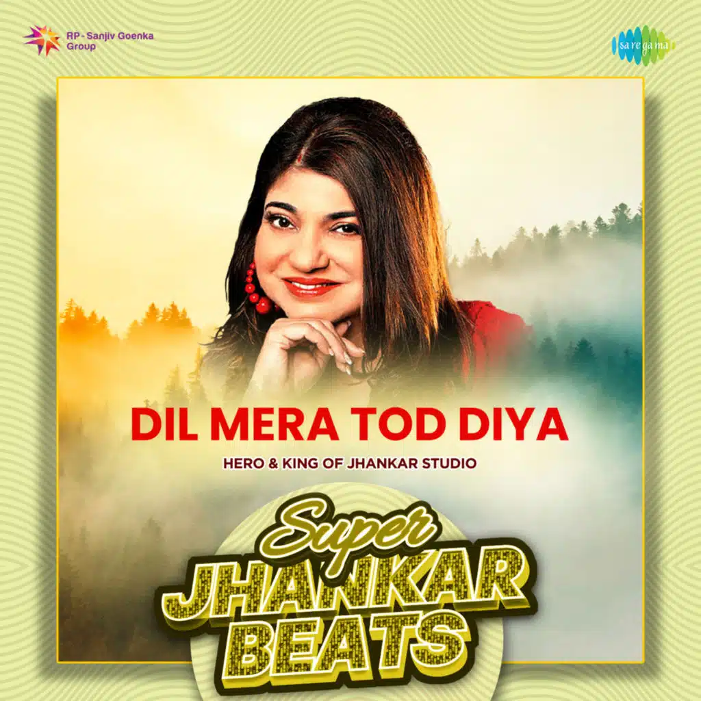Dil Mera Tod Diya (Super Jhankar Beats) [feat. Hero & King Of Jhankar Studio]