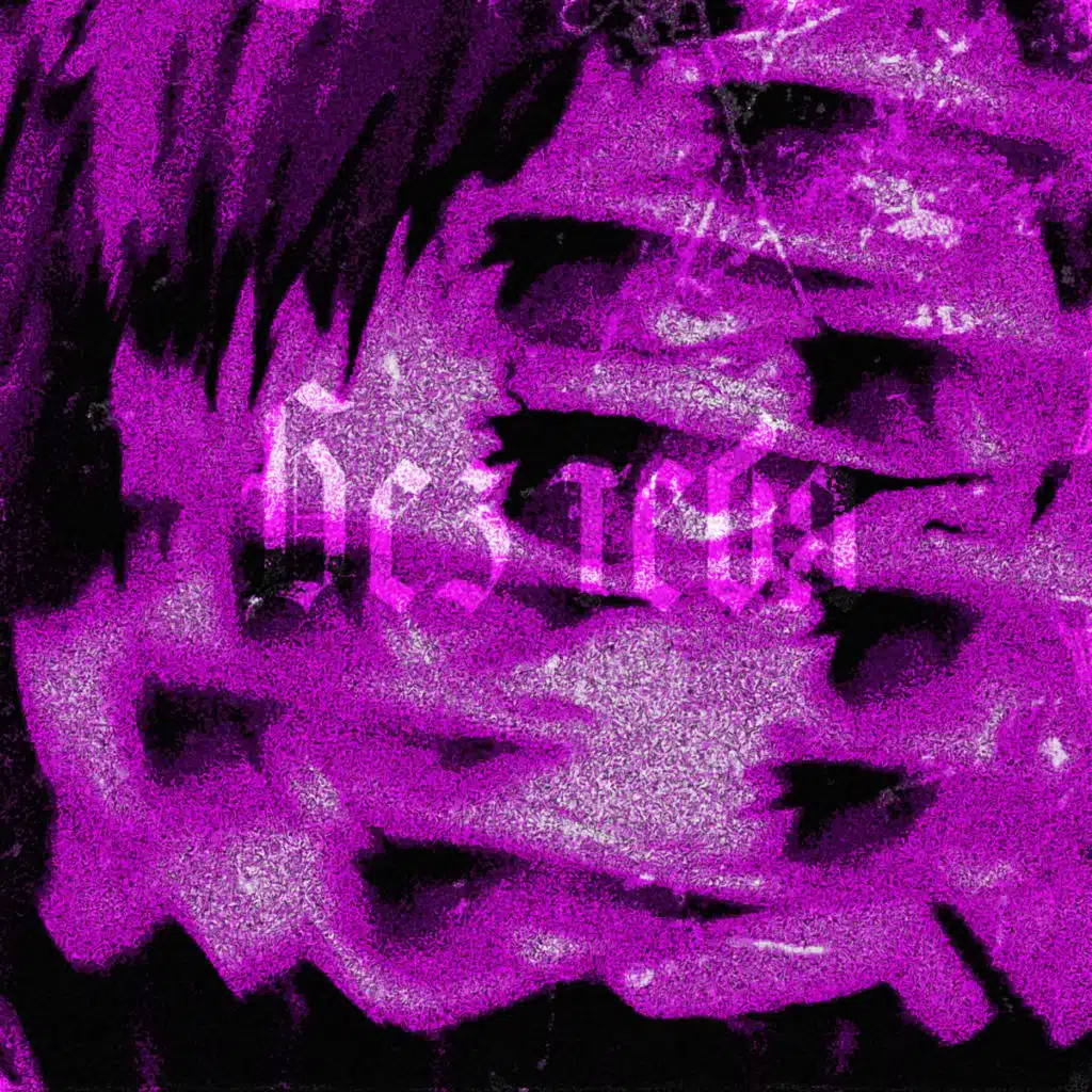 Noirex