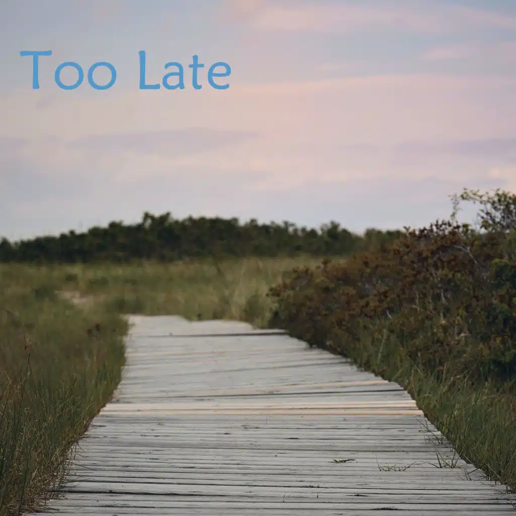 Too Late