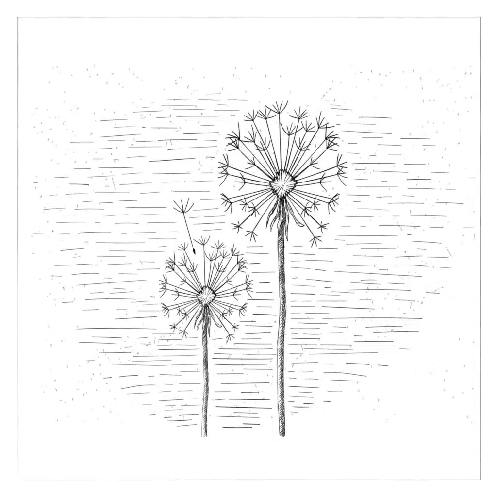 ULTRABEAR & YOU SEUNG KYUNG