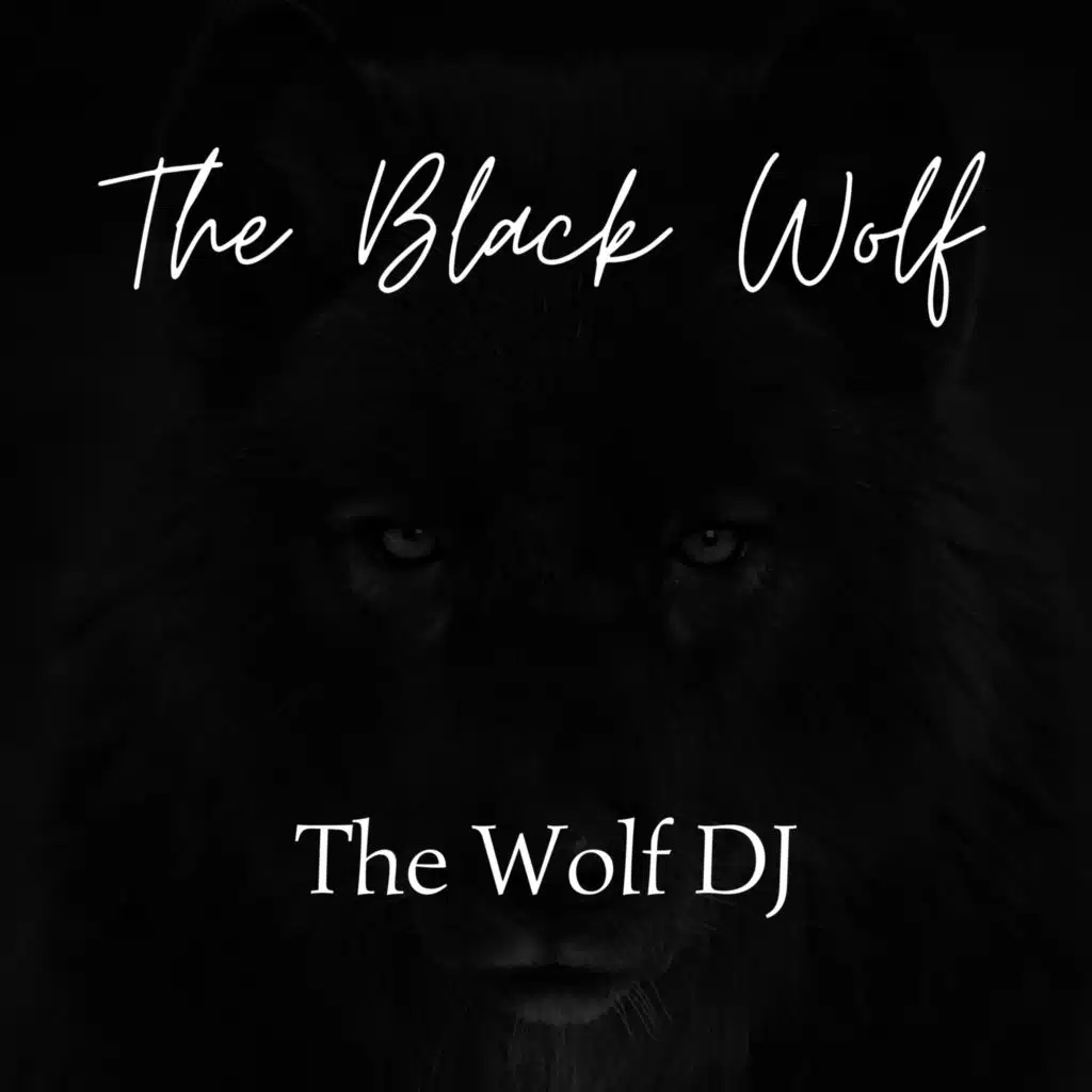 Wolf in the Dark