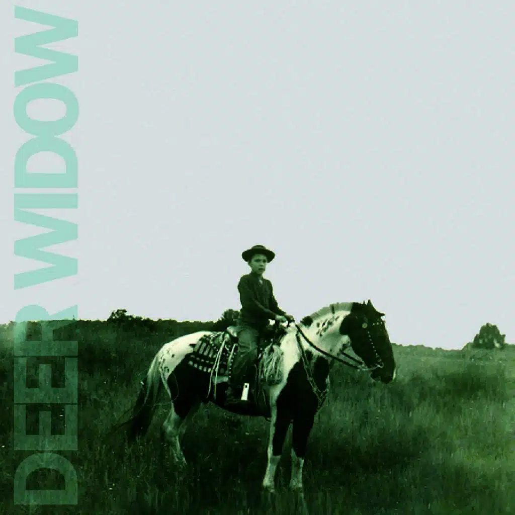 Deer Widow