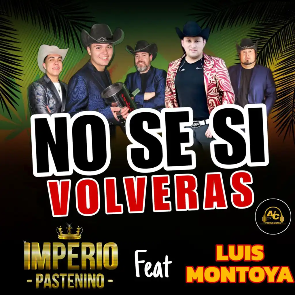 No Se Si Volveras (feat. Luis Montoya)