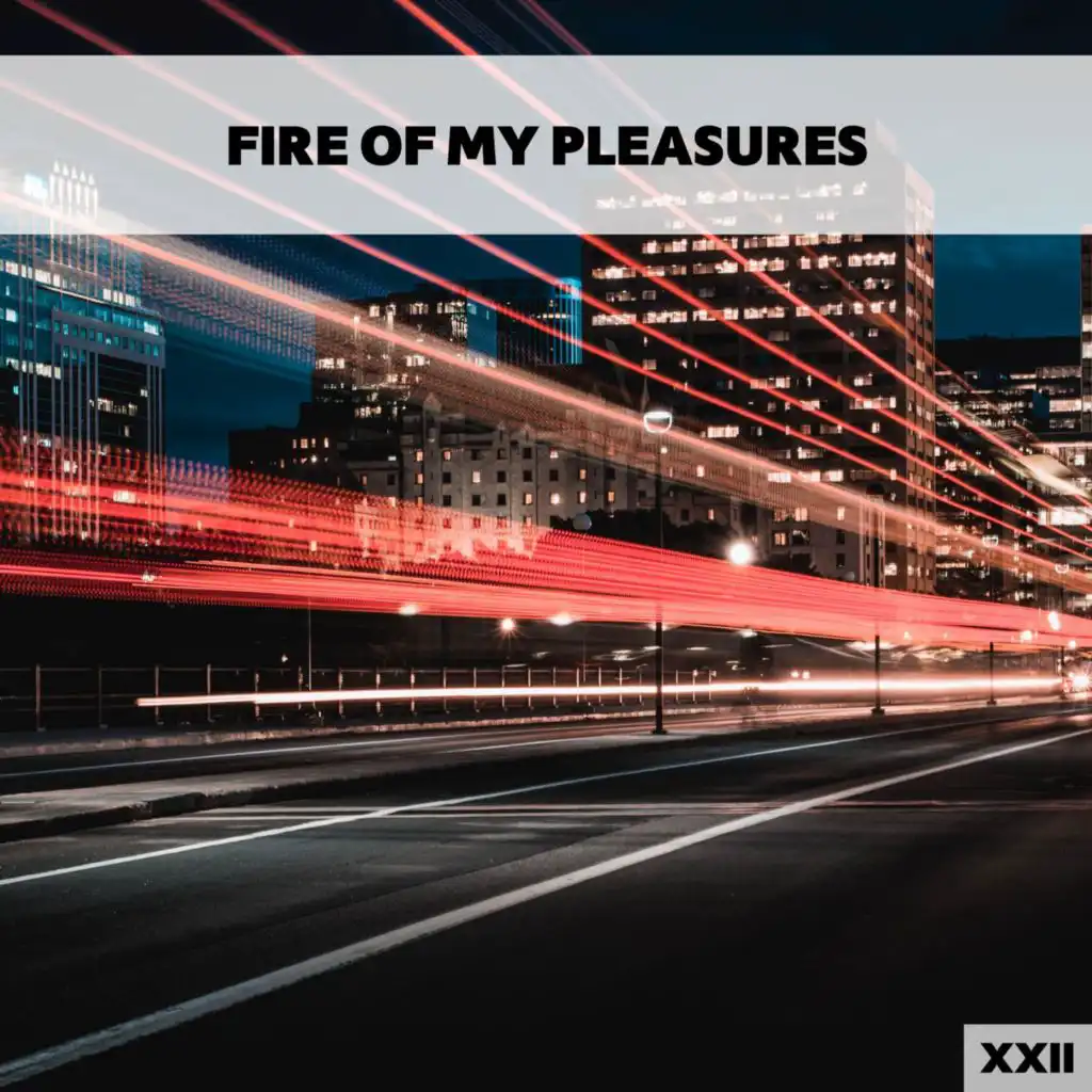 Fire Of My Pleasures XXII