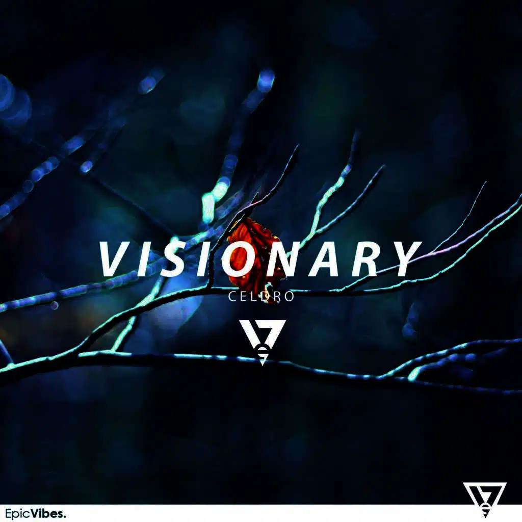 Visionary