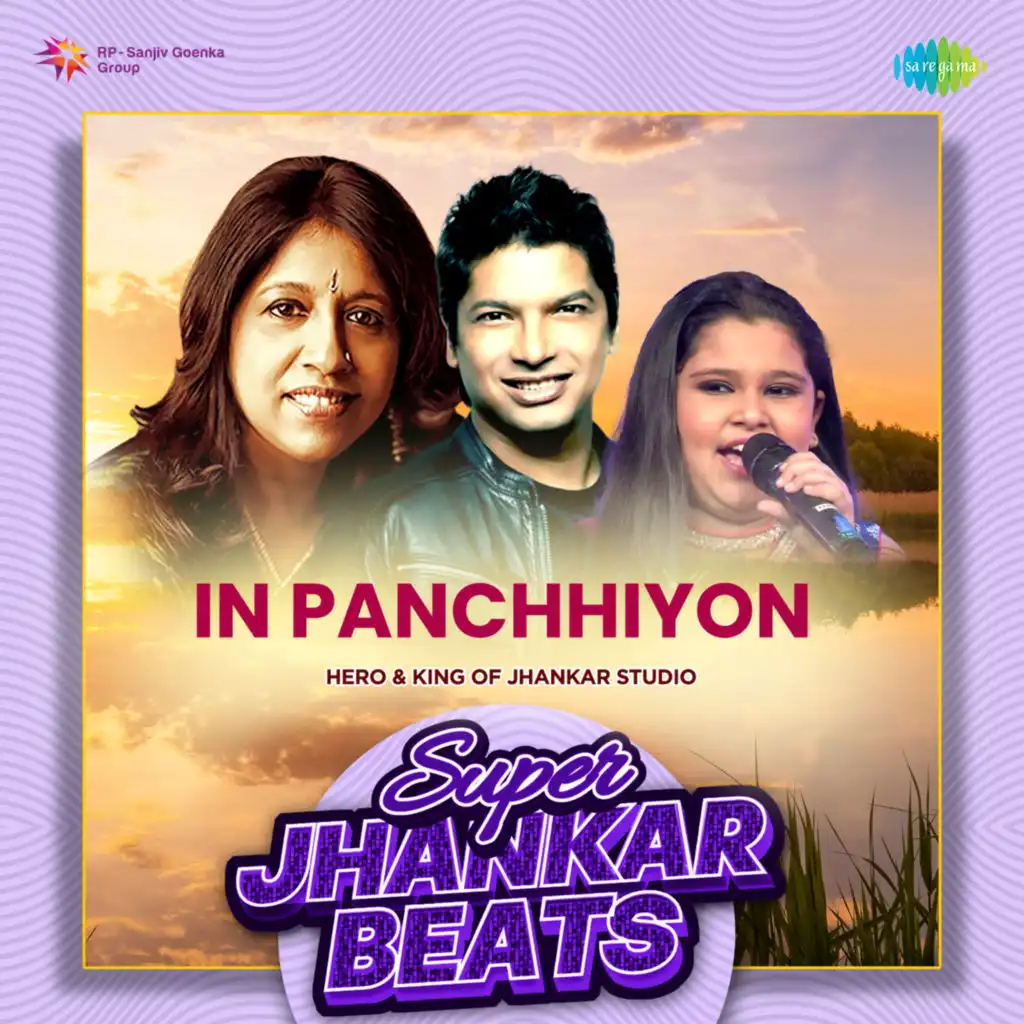 In Panchhiyon (Super Jhankar Beats) [feat. Hero & King Of Jhankar Studio]