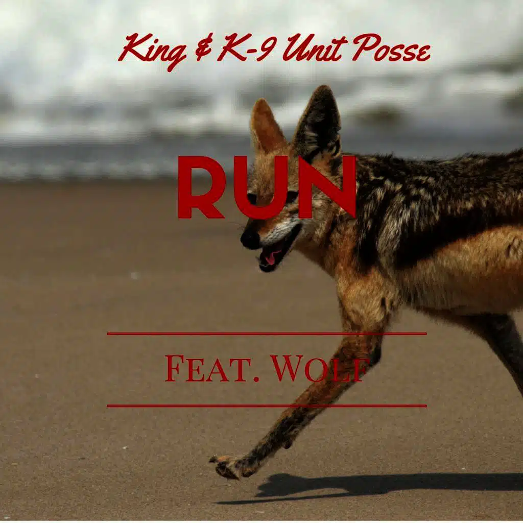 Run (feat. Wolf)