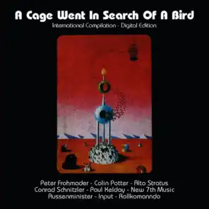 A Cage Went In Search Of A Bird