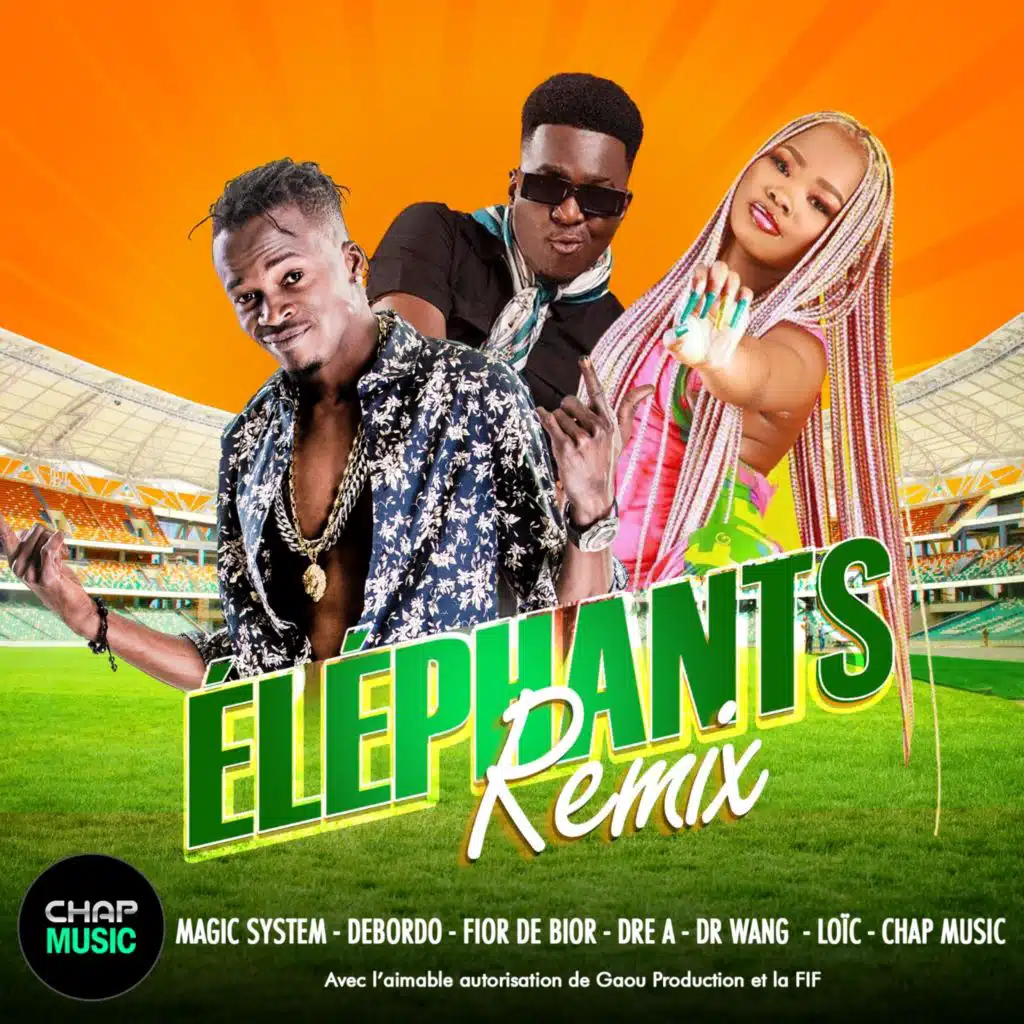 Elephants (Dr Wang Remix) [feat. Debordo Leekunfa, Dre-A, Fior de bior & Loïc]