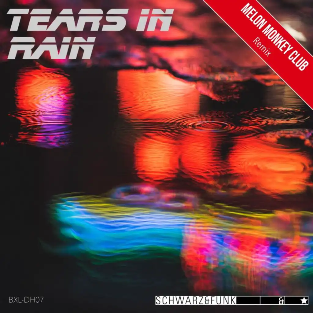 Tears in Rain (Mmc Remix)