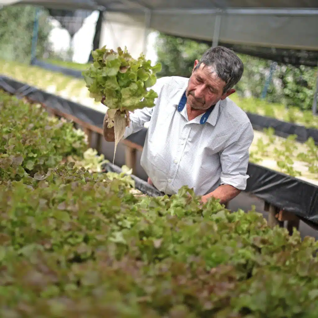 Should retirement be retired? The pros and cons of older workers