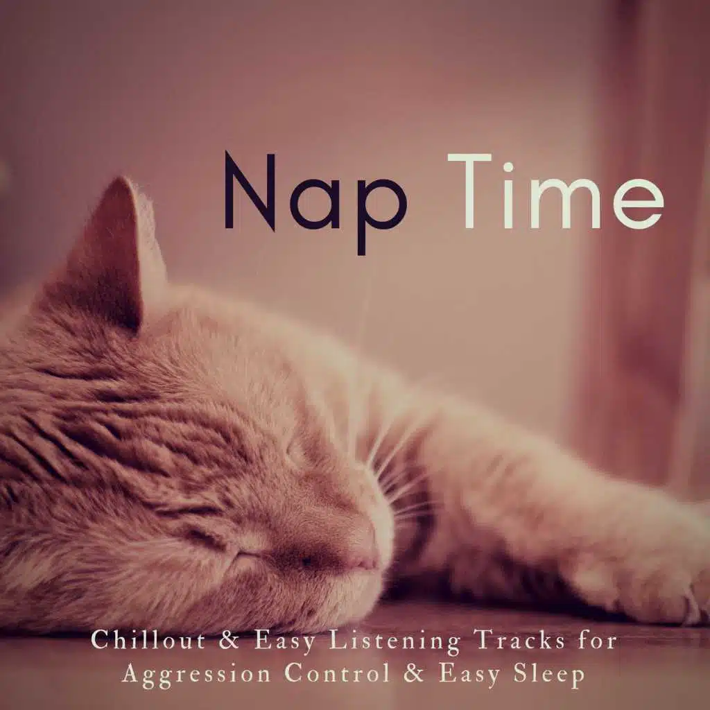 Nap Time (Chillout  and amp; Easy Listening Tracks For Aggression Control  and amp; Easy Sleep)