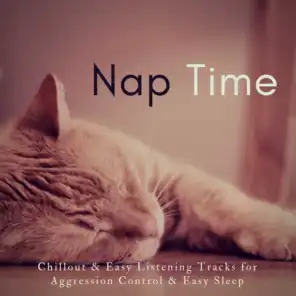 Nap Time (Chillout  and amp; Easy Listening Tracks For Aggression Control  and amp; Easy Sleep)
