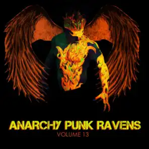 Anarchy Punk Ravens, Vol. 13