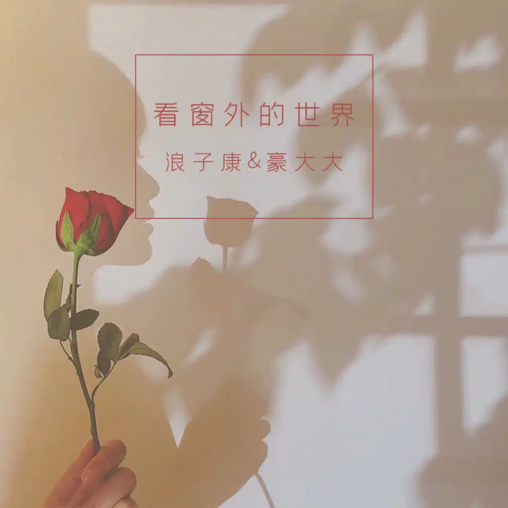 看窗外的世界