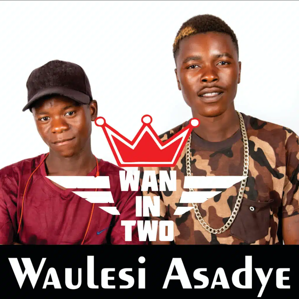 Waulesi Asadye