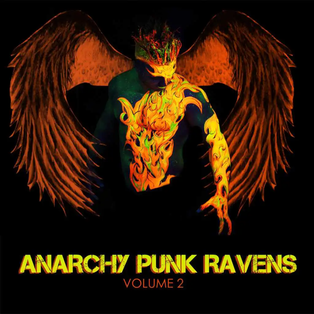 Anarchy Punk Ravens, Vol. 2