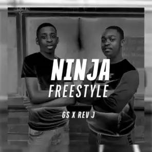 Ninja Freestyle