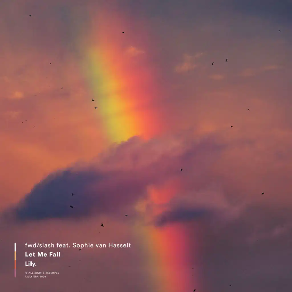 Let Me Fall (feat. Sophie van Hasselt)