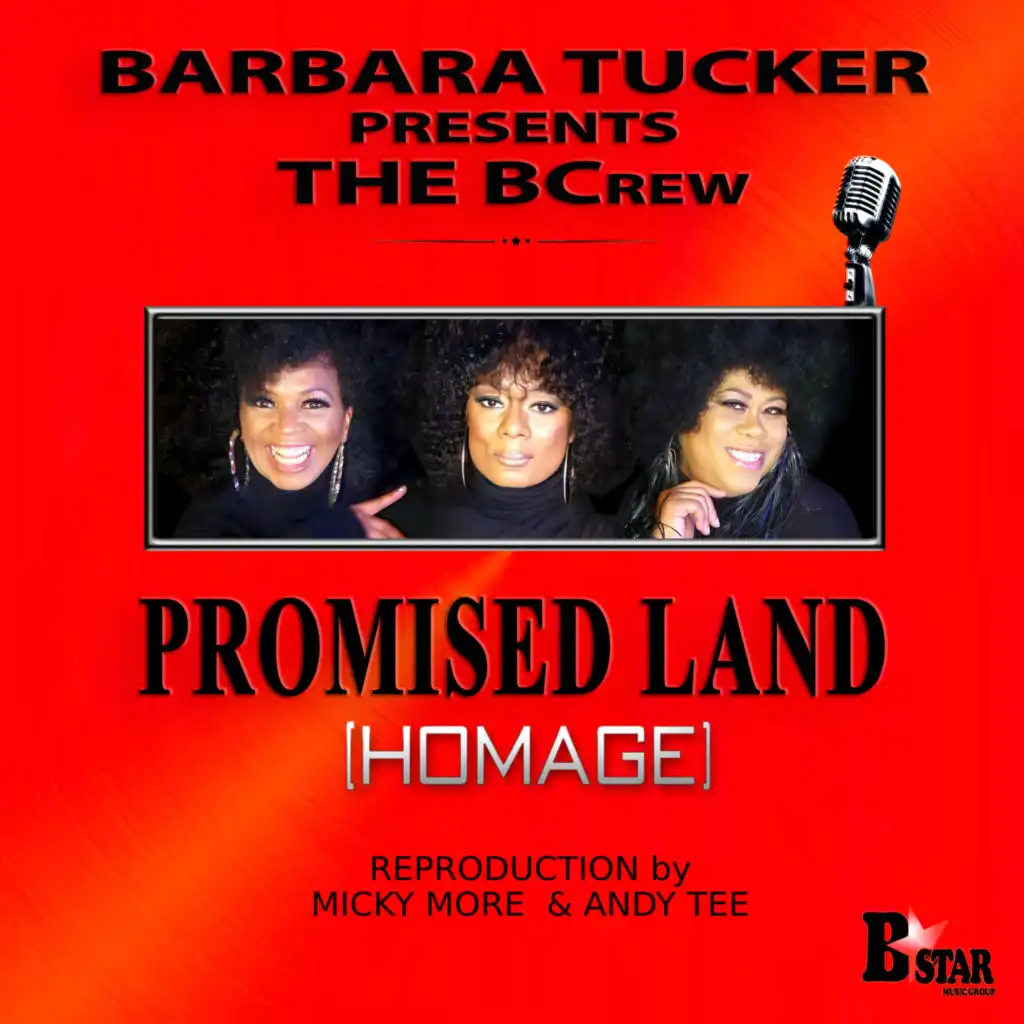 Promised Land (Homage) (Micky More & Andy Tee Edit) [feat. Micky Moore]