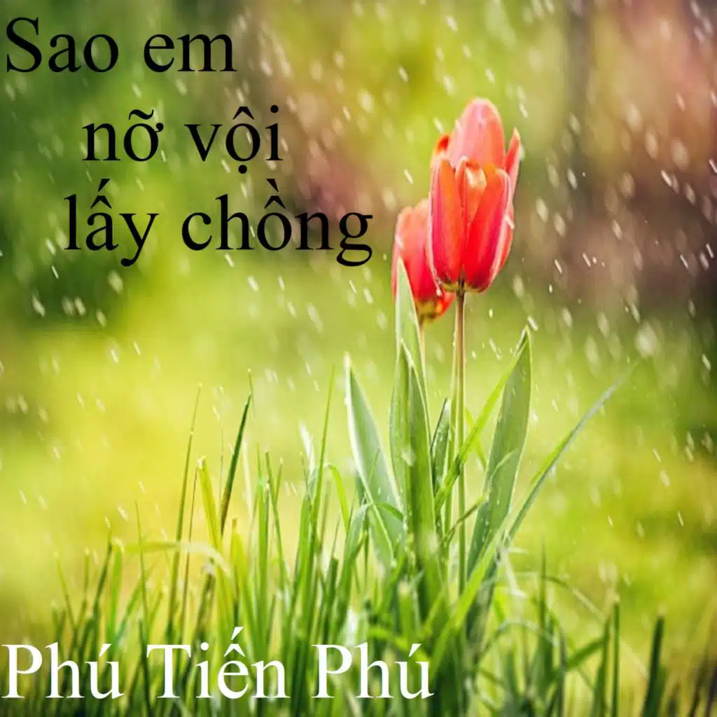 Sao em nỡ vội lấy chồng 2