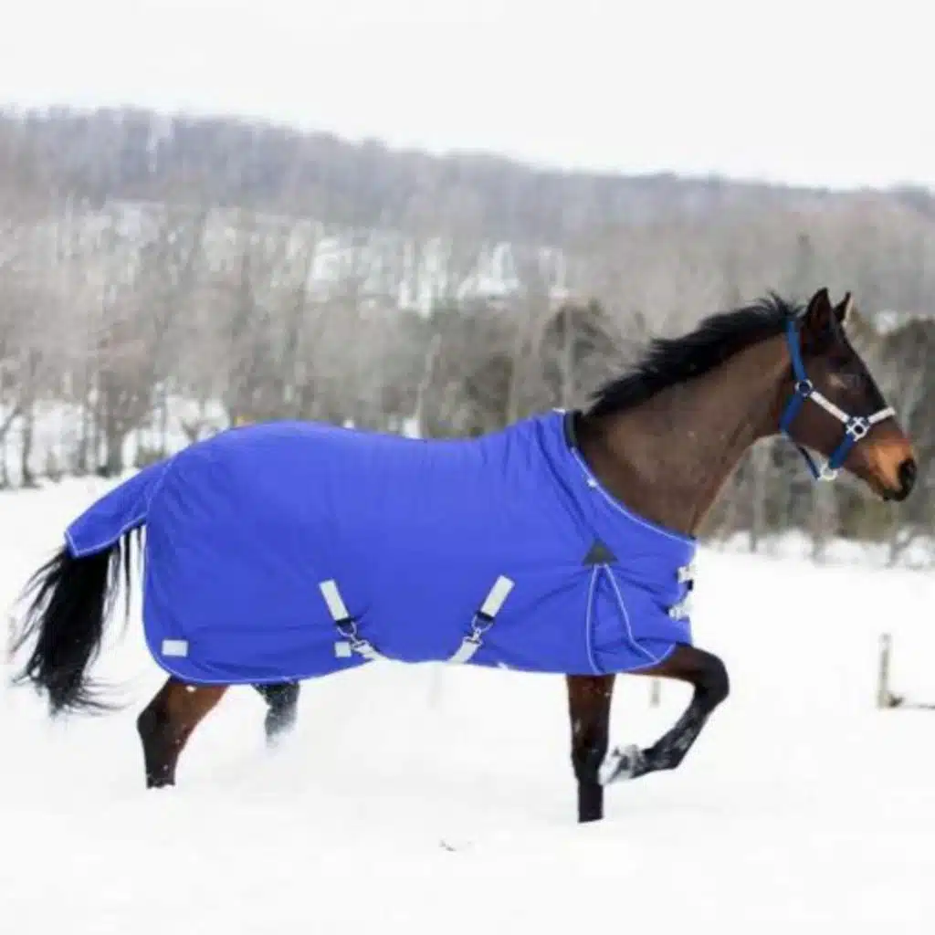 Our Friends Up North Are NOT OKAY