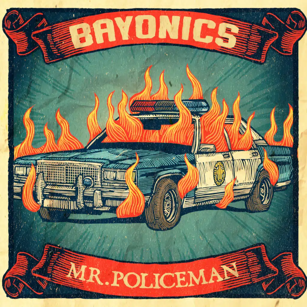 Bayonics