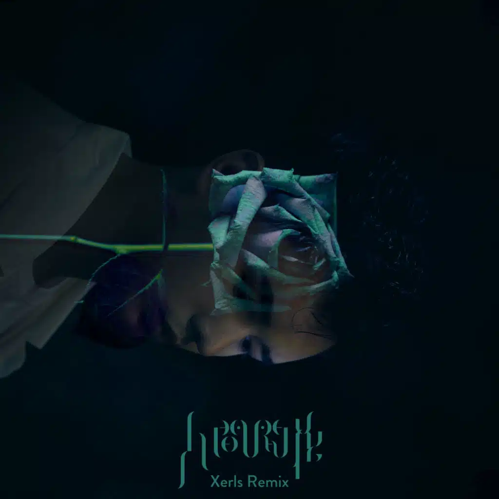 人间开花 (Xerls Remix)