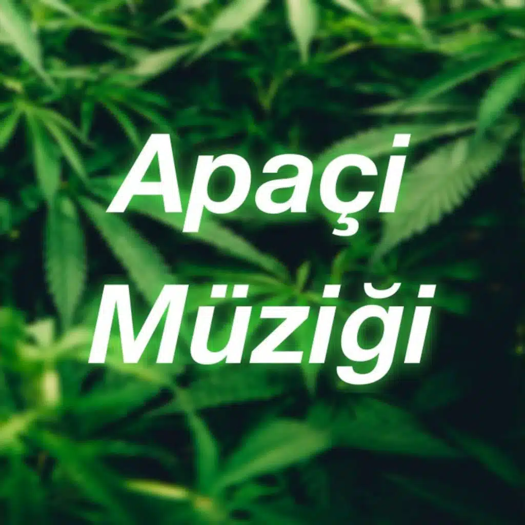 Apaçi Müziği