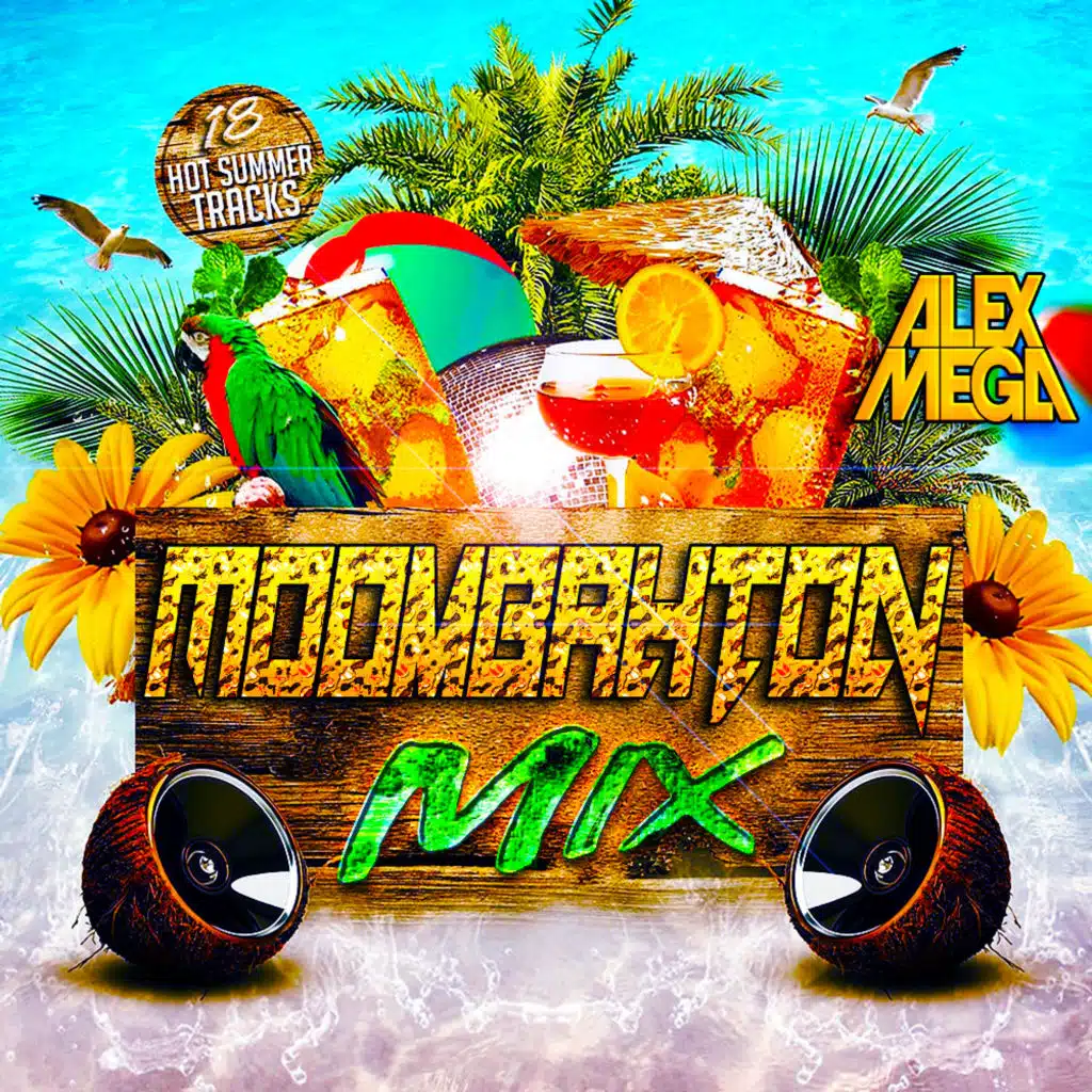 DJ Alex Mega - Moombahton Mix - 2024