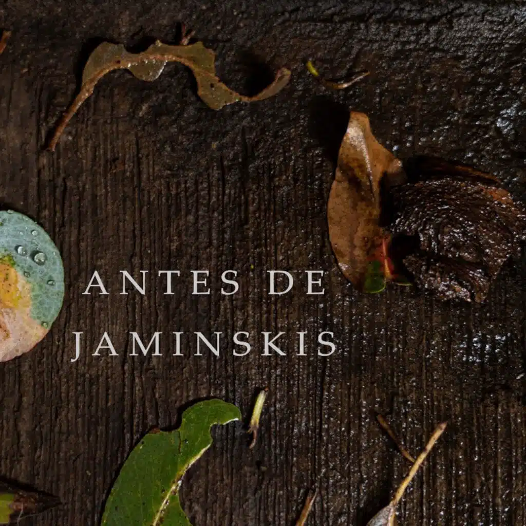 Antes de Jaminskis