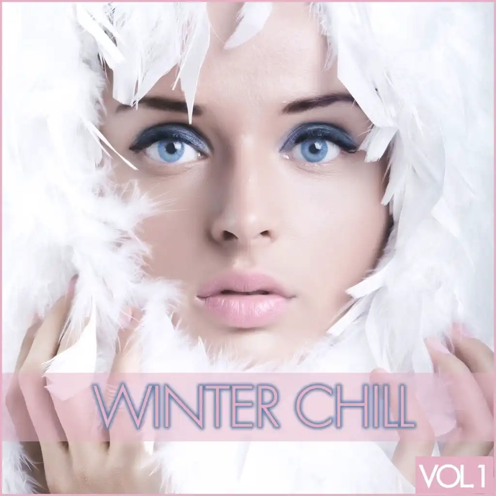 Winter Chill,  Vol. 1