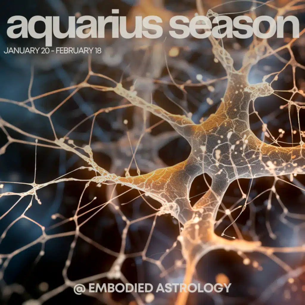 SAGITTARIUS Horoscope for Aquarius Season (January 20 - February 18, 2024)